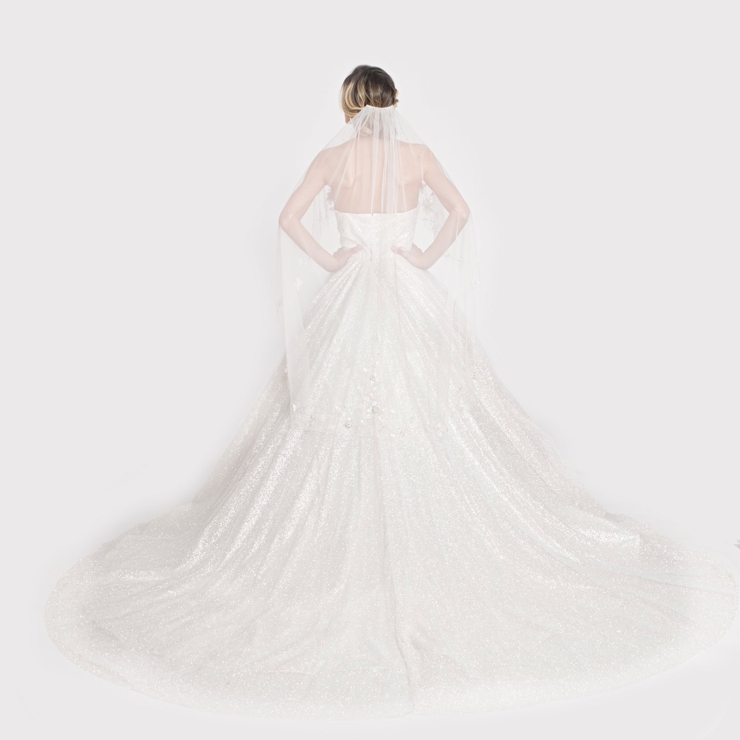 THE AGAPE - ALL OVER SPARKLE BALLGOWN WITH 3D FLORAL EMBROIDERY