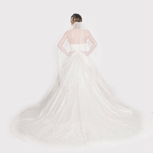 THE AGAPE - ALL OVER SPARKLE BALLGOWN WITH 3D FLORAL EMBROIDERY